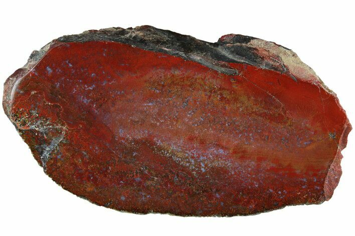 Red, Indonesian Plume Agate Section - North Sumatra, Indonesia #185362